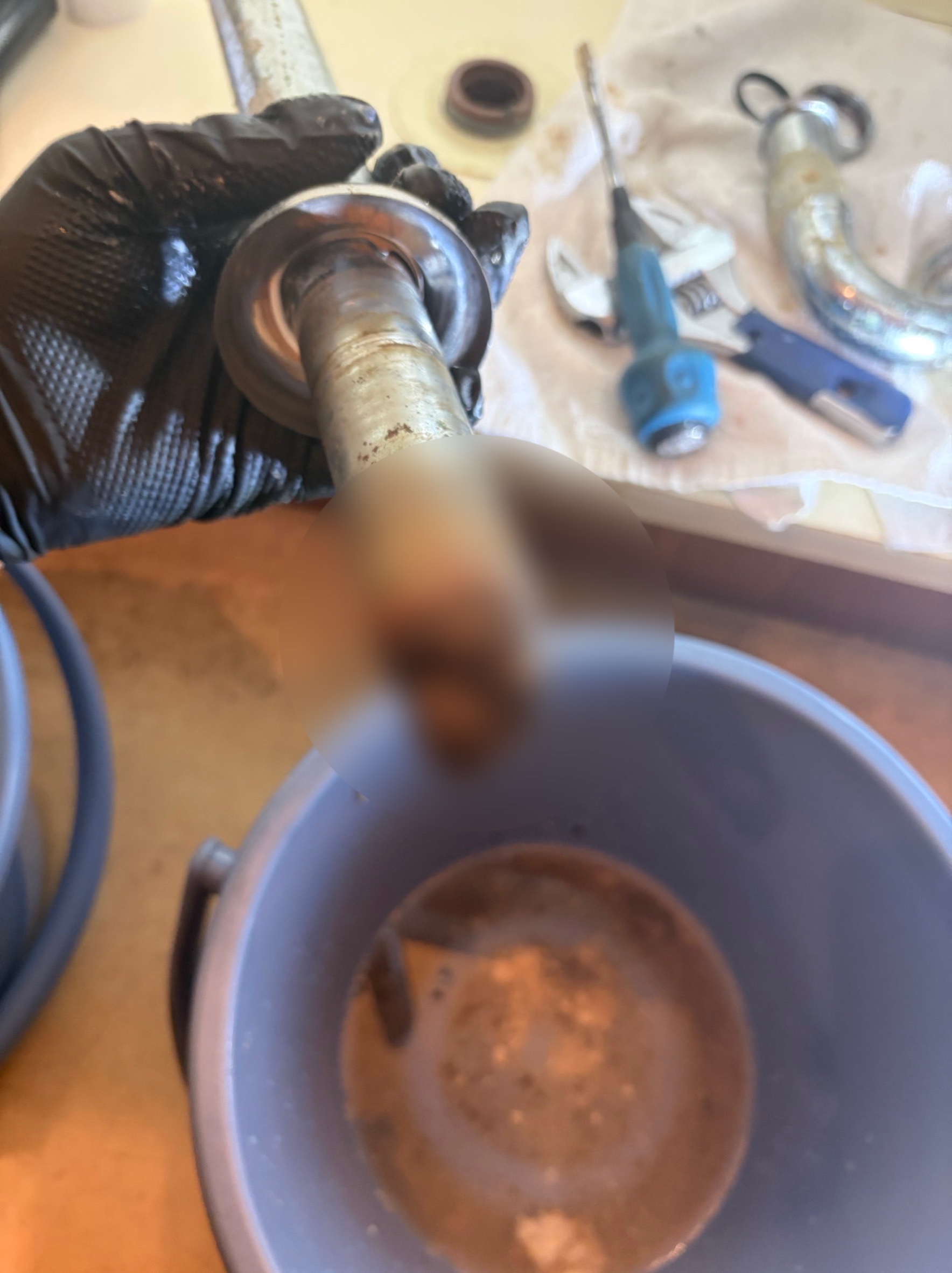 �o�����ċl�܂菜��