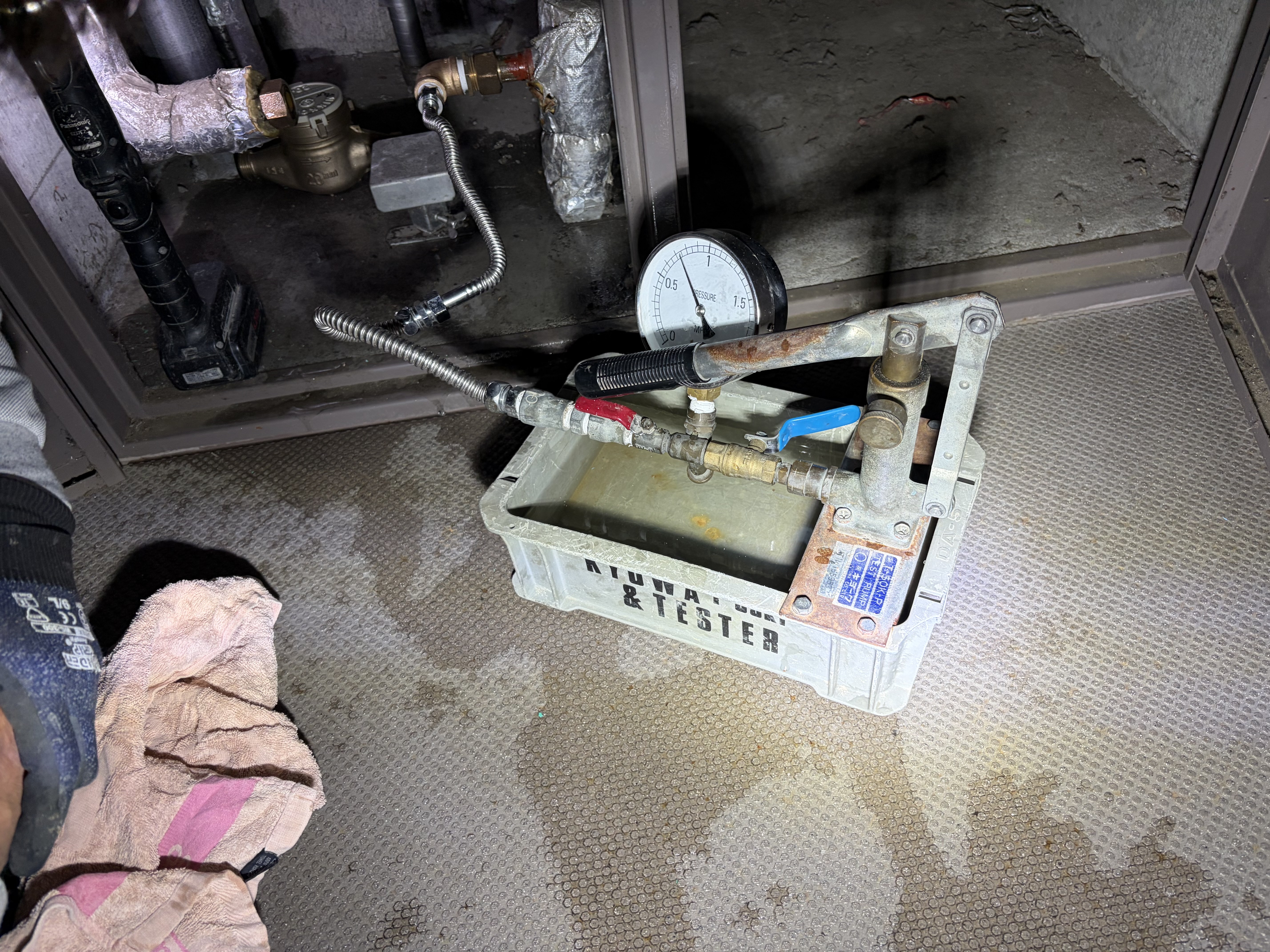 ���̓e�X�g