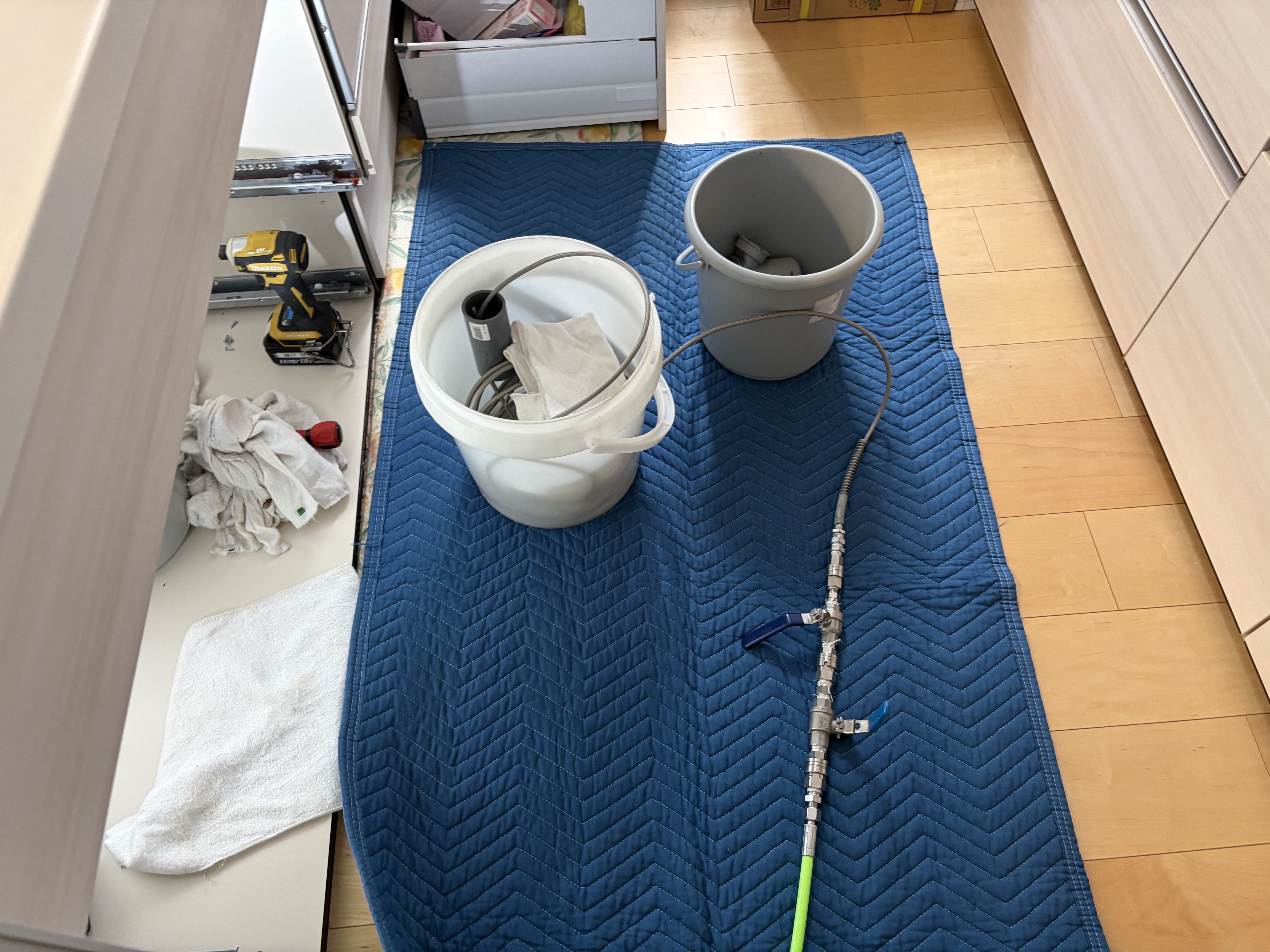 ��ʉƒ�̂��q�l