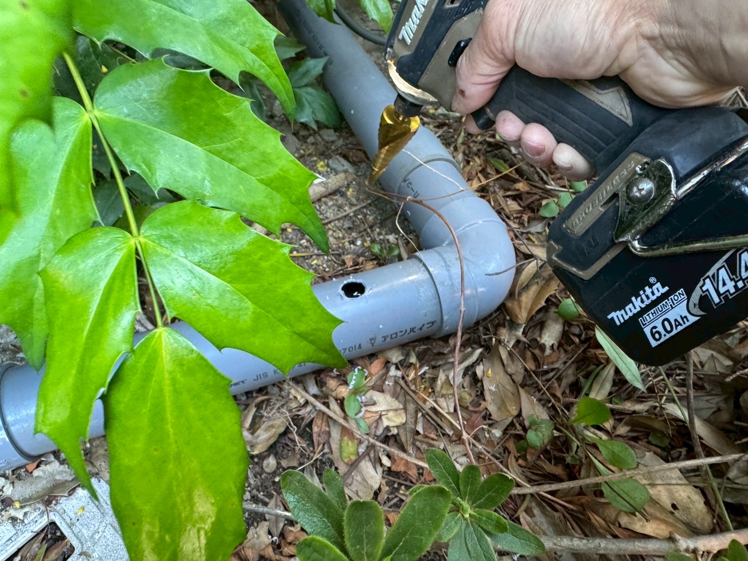 ����������ɂ�