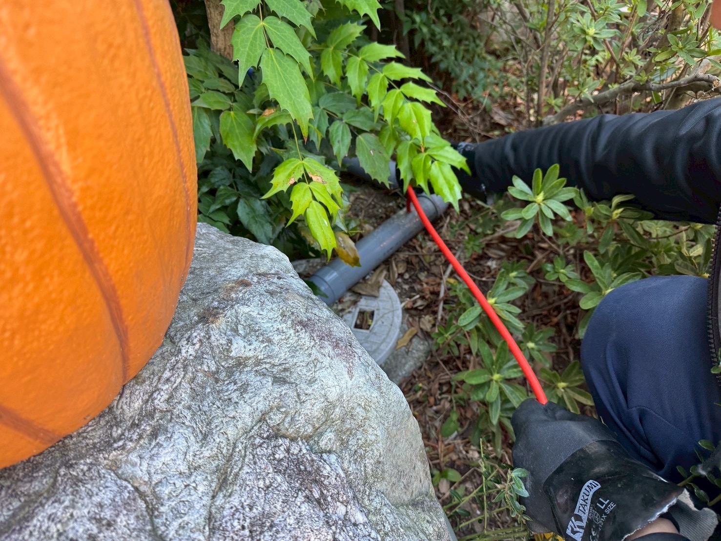 ��������ɔr���ǐ��