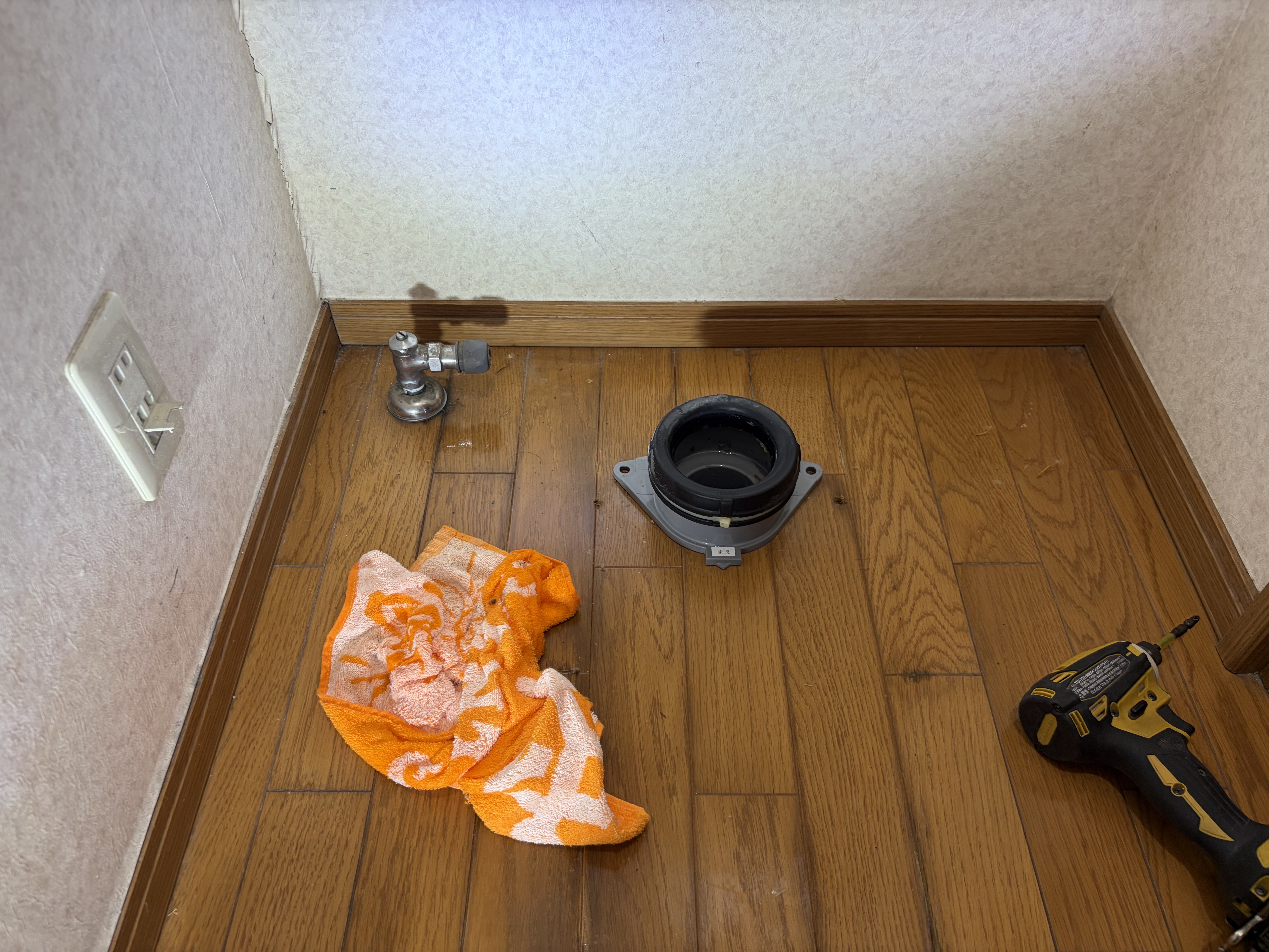 �g�C����